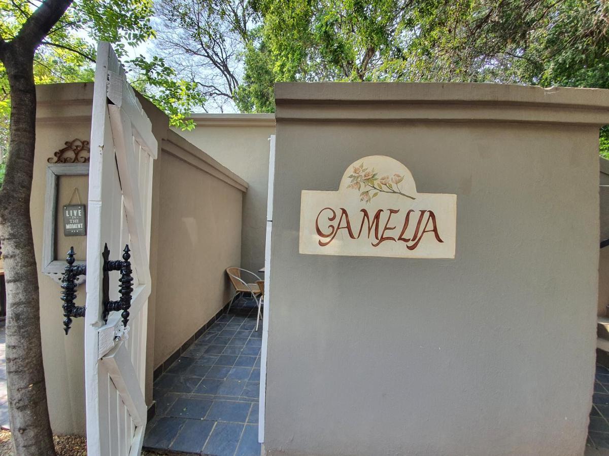 Waterhouse Guest Lodge In Muckleneuk Pretoria-Noord Pokoj fotografie