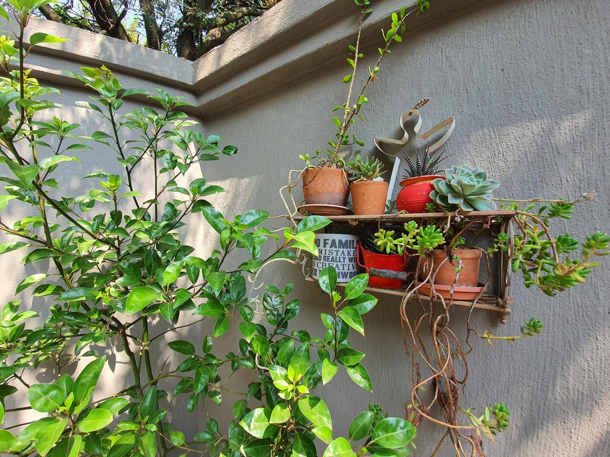 Waterhouse Guest Lodge In Muckleneuk Pretoria-Noord Pokoj fotografie